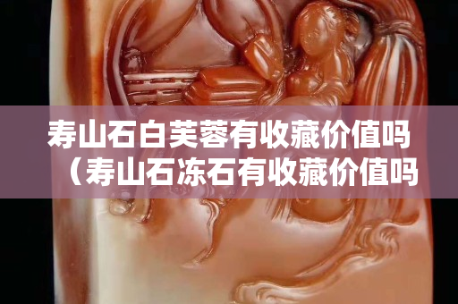 壽山石白芙蓉有收藏價值嗎（壽山石凍石有收藏價值嗎）