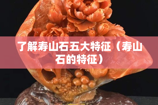 了解壽山石五大特征（壽山石的特征）
