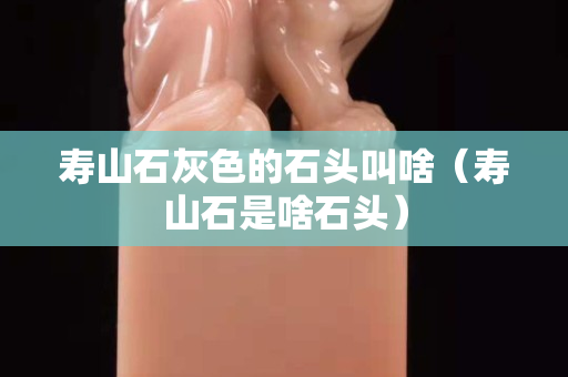 壽山石灰色的石頭叫啥（壽山石是啥石頭）
