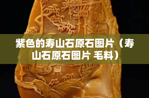 紫色的壽山石原石圖片（壽山石原石圖片 毛料）
