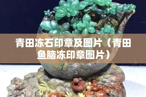 青田凍石印章及圖片（青田魚腦凍印章圖片）