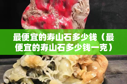 最便宜的壽山石多少錢（最便宜的壽山石多少錢一克）