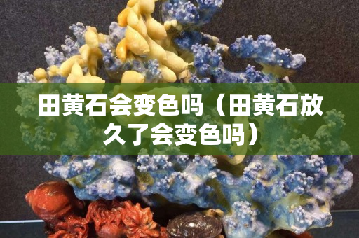 田黃石會變色嗎（田黃石放久了會變色嗎）