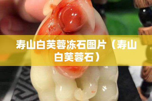 壽山白芙蓉凍石圖片（壽山白芙蓉石）