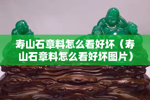 壽山石章料怎么看好壞（壽山石章料怎么看好壞圖片）
