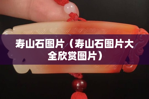 壽山石圖片（壽山石圖片大全欣賞圖片）