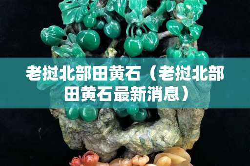 老撾北部田黃石（老撾北部田黃石最新消息）