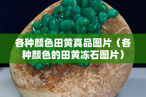 各種顏色田黃真品圖片（各種顏色的田黃凍石圖片）