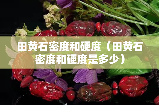 田黃石密度和硬度（田黃石密度和硬度是多少）