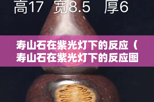 壽山石在紫光燈下的反應(yīng)（壽山石在紫光燈下的反應(yīng)圖片）