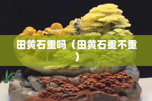 田黃石重嗎（田黃石重不重）
