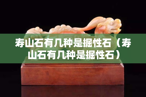 壽山石有幾種是掘性石（壽山石有幾種是掘性石）