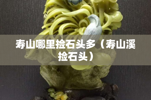 壽山哪里撿石頭多（壽山溪撿石頭）