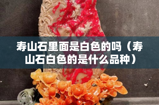 壽山石里面是白色的嗎（壽山石白色的是什么品種）