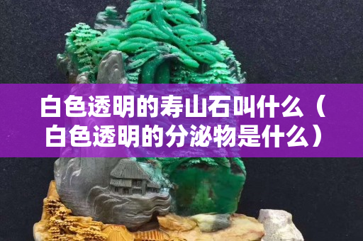 白色透明的壽山石叫什么（白色透明的分泌物是什么）