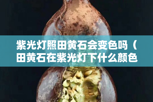 紫光燈照田黃石會(huì)變色嗎（田黃石在紫光燈下什么顏色）