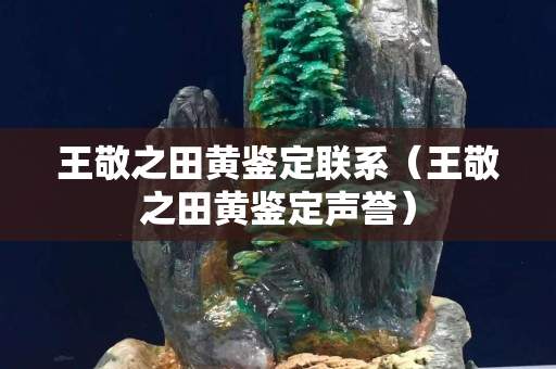 王敬之田黃鑒定聯系（王敬之田黃鑒定聲譽）