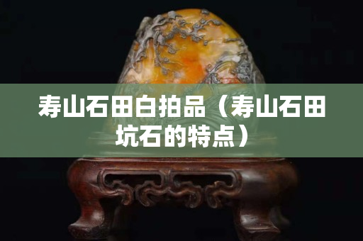 壽山石田白拍品（壽山石田坑石的特點(diǎn)）