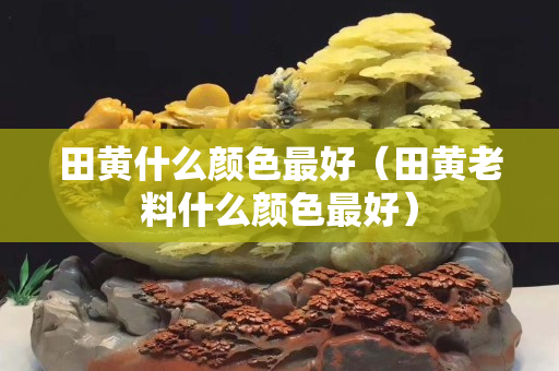 田黃什么顏色最好（田黃老料什么顏色最好）