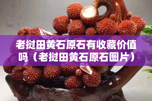 老撾田黃石原石有收藏價值嗎（老撾田黃石原石圖片）