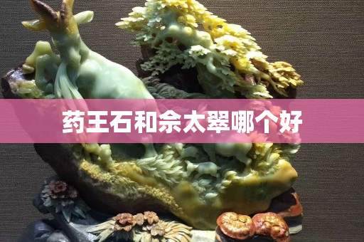 藥王石和佘太翠哪個好