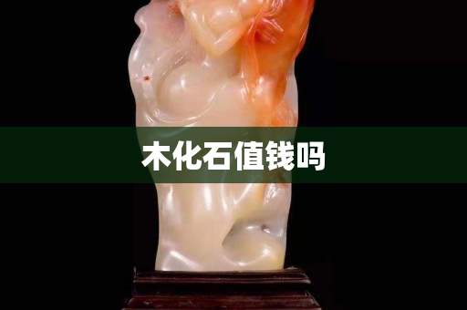 木化石值錢嗎
