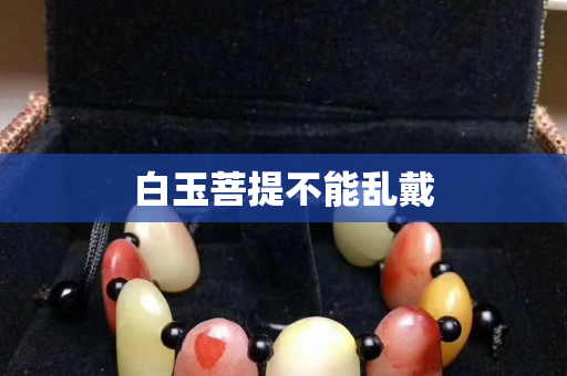 白玉菩提不能亂戴