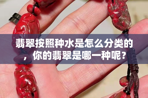 翡翠按照種水是怎么分類的，你的翡翠是哪一種呢？