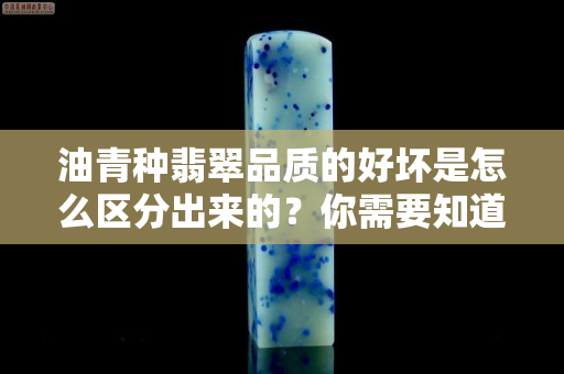 油青種翡翠品質(zhì)的好壞是怎么區(qū)分出來的？你需要知道這些
