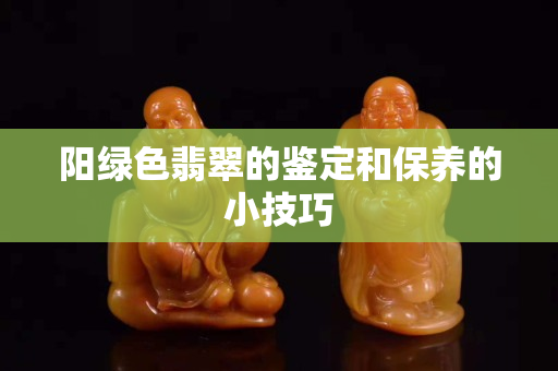 陽綠色翡翠的鑒定和保養的小技巧