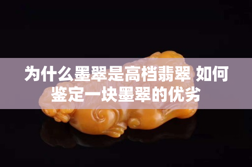 為什么墨翠是高檔翡翠 如何鑒定一塊墨翠的優劣