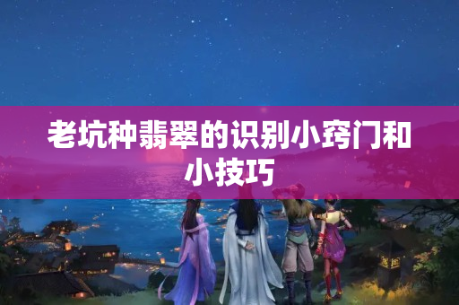 老坑種翡翠的識別小竅門和小技巧