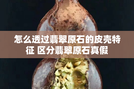 怎么透過翡翠原石的皮殼特征 區分翡翠原石真假
