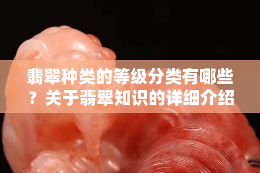 翡翠種類的等級分類有哪些？關于翡翠知識的詳細介紹