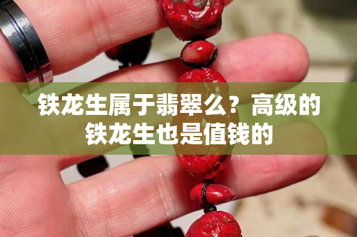 鐵龍生屬于翡翠么？高級(jí)的鐵龍生也是值錢(qián)的