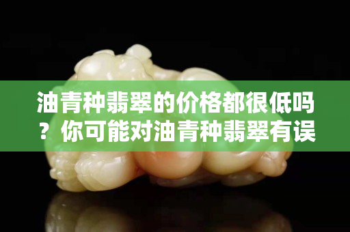 油青種翡翠的價格都很低嗎？你可能對油青種翡翠有誤解哦