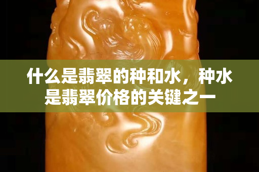 什么是翡翠的種和水，種水是翡翠價(jià)格的關(guān)鍵之一