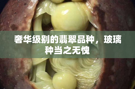 奢華級別的翡翠品種，玻璃種當之無愧