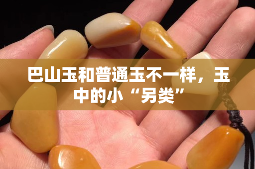 巴山玉和普通玉不一樣，玉中的小“另類”