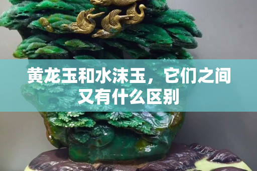 黃龍玉和水沫玉，它們之間又有什么區(qū)別