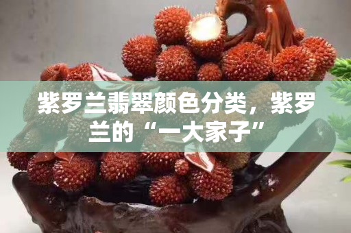 紫羅蘭翡翠顏色分類，紫羅蘭的“一大家子”