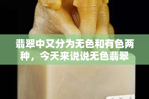 翡翠中又分為無色和有色兩種，今天來說說無色翡翠