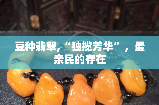 豆種翡翠,“獨攬芳華”，最親民的存在