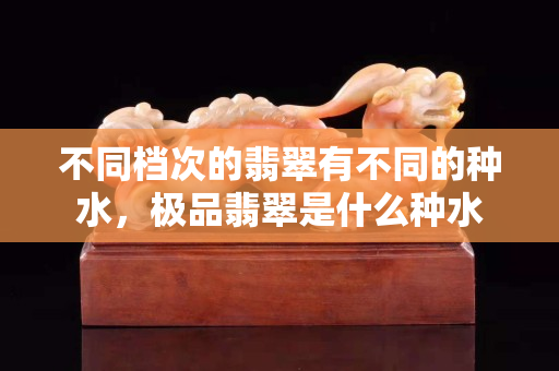 不同檔次的翡翠有不同的種水，極品翡翠是什么種水