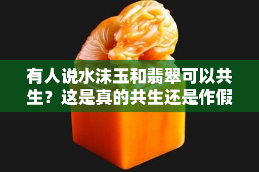 有人說水沫玉和翡翠可以共生？這是真的共生還是作假呢？