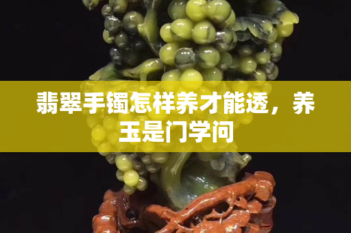 翡翠手鐲怎樣養才能透，養玉是門學問