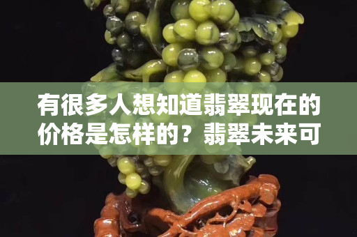 有很多人想知道翡翠現(xiàn)在的價格是怎樣的？翡翠未來可是會暴漲的哦！