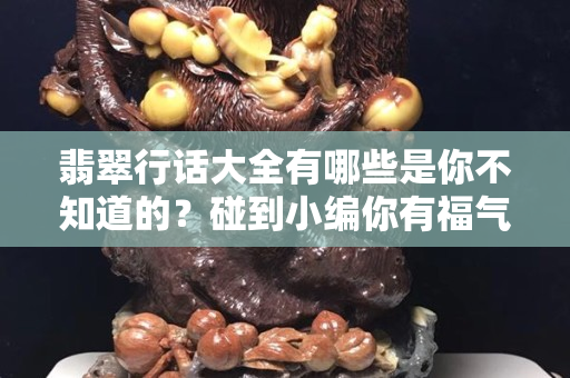 翡翠行話大全有哪些是你不知道的？碰到小編你有福氣了