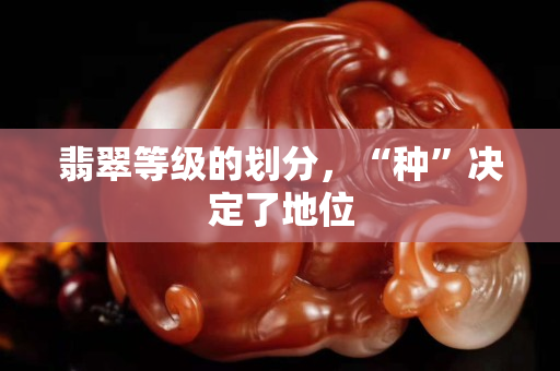 翡翠等級的劃分，“種”決定了地位