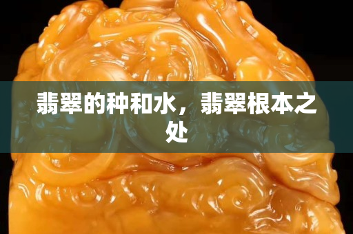 翡翠的種和水，翡翠根本之處